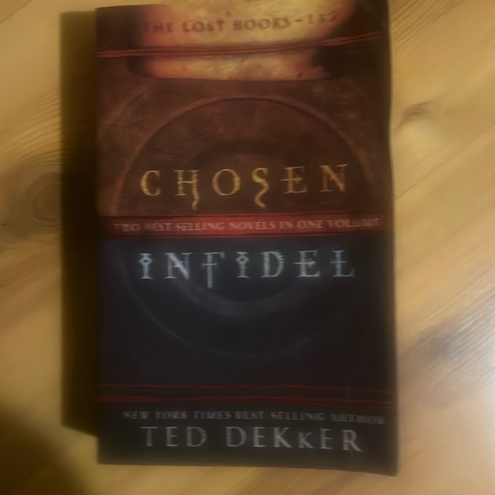 Ted Dekker, Chosen Infidel